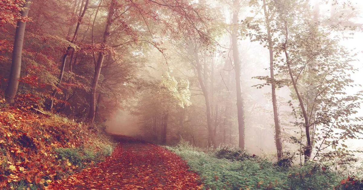 Featured image of post Hugo小脚本：自动完善slug及image属性